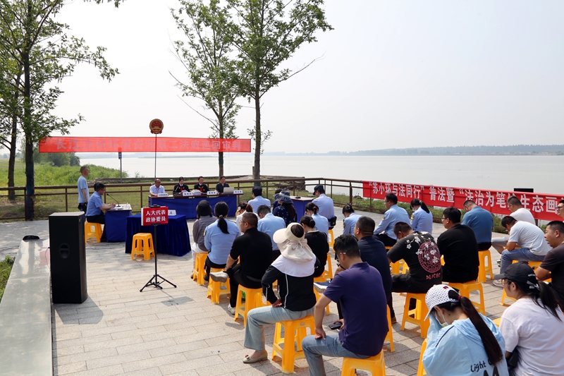 1.巡回审理一起盗伐林木案.jpg