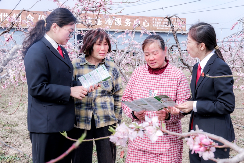 161776300954435410.jpg 1.JPG