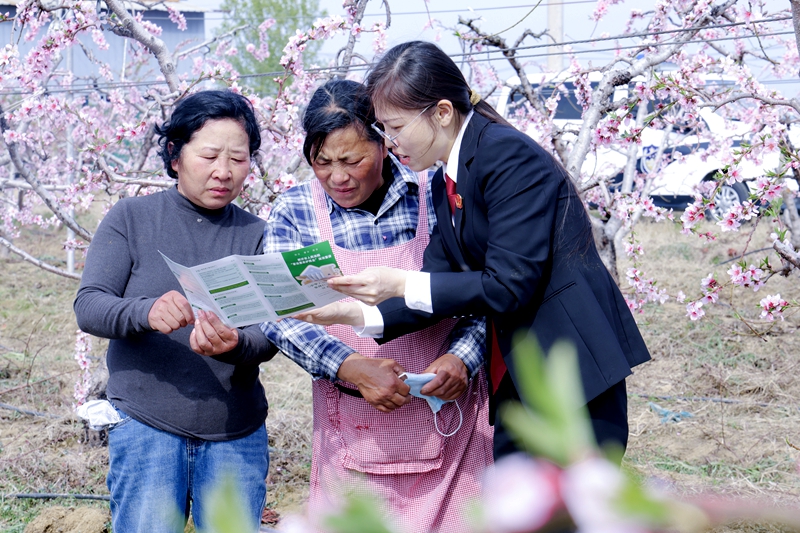 161776300956237100.jpg 2.JPG